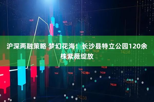 沪深两融策略 梦幻花海！长沙县特立公园120余株紫薇绽放