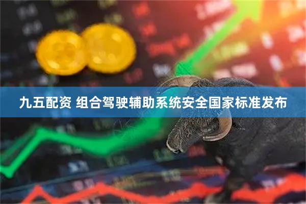九五配资 组合驾驶辅助系统安全国家标准发布
