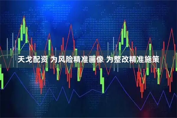 天戈配资 为风险精准画像 为整改精准施策